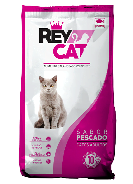 REY CAT x1KG